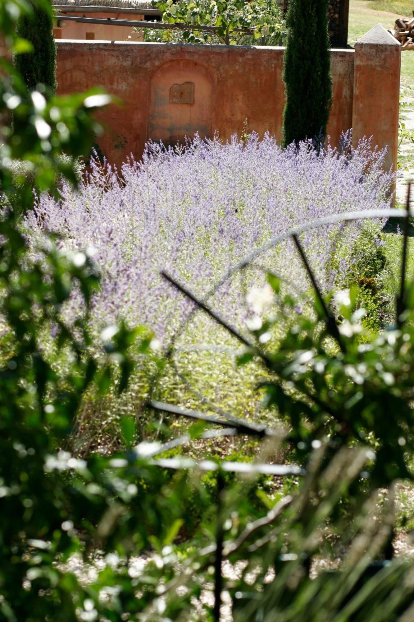 Pensjonat Casa Rosa Santa Maria Lignano Zewnętrze zdjęcie