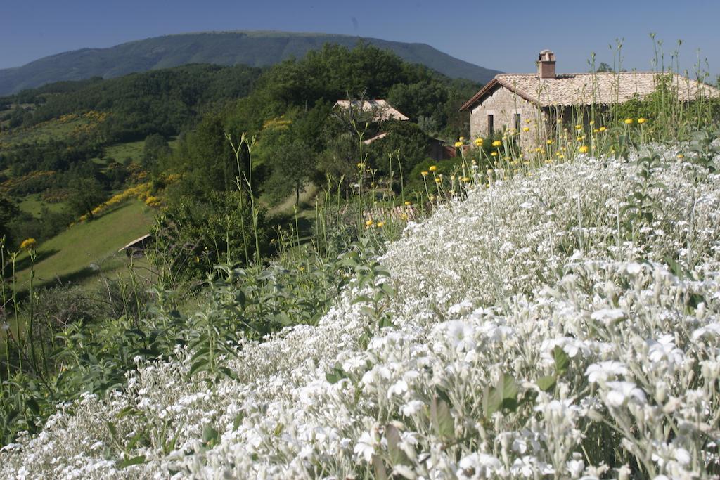Pensjonat Casa Rosa Santa Maria Lignano Zewnętrze zdjęcie