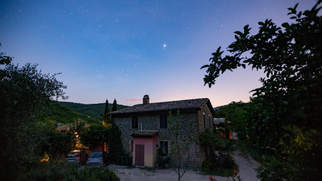 Pensjonat Casa Rosa Santa Maria Lignano Zewnętrze zdjęcie