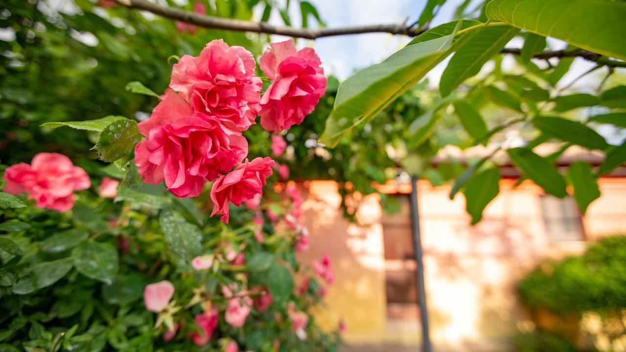 Pensjonat Casa Rosa Santa Maria Lignano Zewnętrze zdjęcie