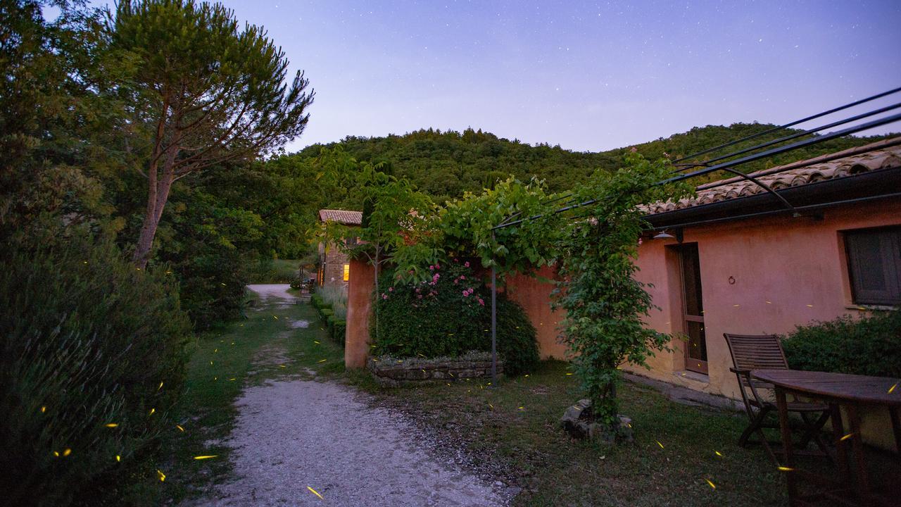 Pensjonat Casa Rosa Santa Maria Lignano Zewnętrze zdjęcie
